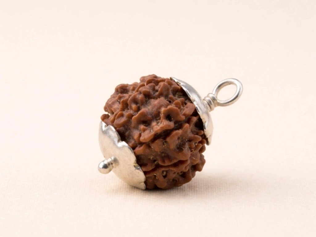 7 mukhi rudraksha benefits