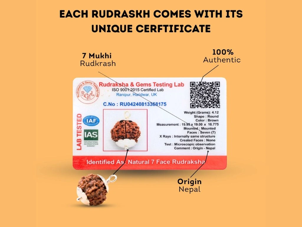 7 mukhi rudraksha RGL ISO 9001 lab certificate - Nepal origin authentic natural 7 face certified Suyagya