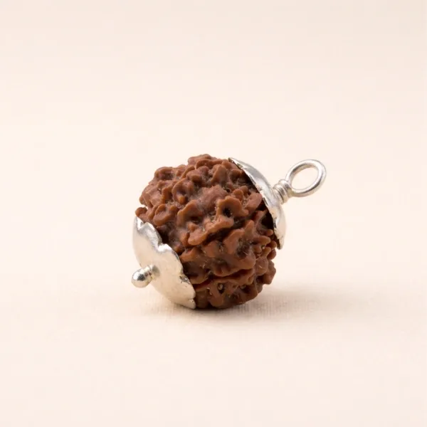 Original 7 Mukhi Rudraksha from Nepal with clear natural mukhi lines - Suyagya