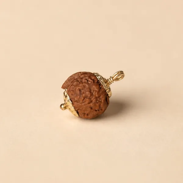 Original Ganesh Rudraksha with natural trunk shape from Nepal - Suyagya