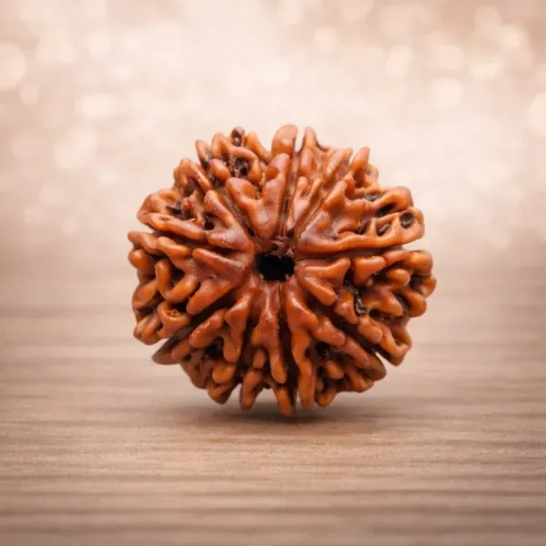 8 Mukhi Rudraksha super — Ganesha's Bead for Obstacle Removal and New Beginnings