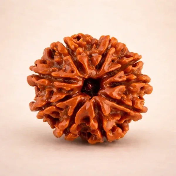 9 Mukhi Rudraksha — Maa Durga's Bead for Fearlessness and Complete Protection