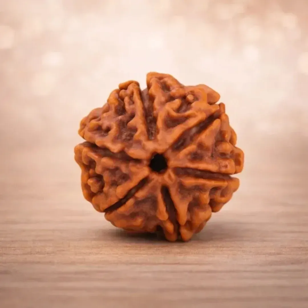 6 Mukhi Rudraksha Premium— The Bead of Kartikeya for Confidence, Focus and Inner Stability
