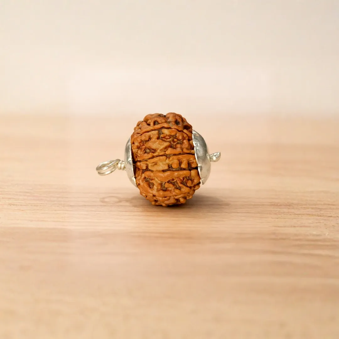 9 Mukhi Rudraksha Premium — Maa Durga's Strongest Protection in a Large Nepal Bead