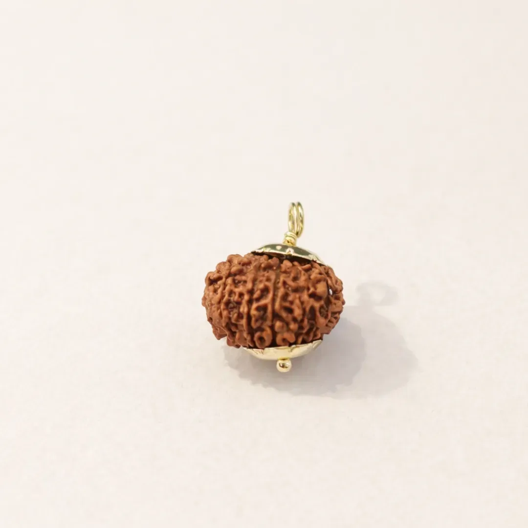 12 Mukhi Rudraksha — Surya Dev's Bead for Leadership, Confidence and Natural Authority